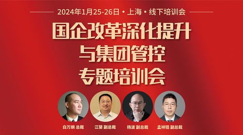 华彩咨询 国资国企与集团类企业的定制化管理咨询服务专家